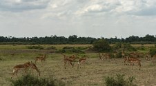 Enlarge photo 120