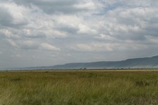 Enlarge photo 122