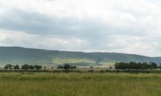 Enlarge photo 124