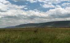 Enlarge photo 126