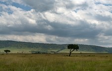Enlarge photo 127