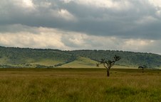 Enlarge photo 128