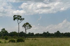 Enlarge photo 131