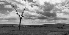 Enlarge photo 133