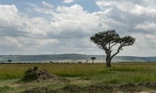 Enlarge photo 134