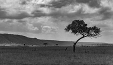 Enlarge photo 140