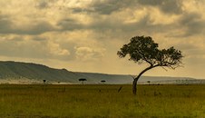 Enlarge photo 139