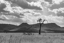 Enlarge photo 144
