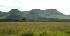 Enlarge photo 145