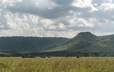 Enlarge photo 146