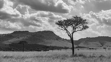 Enlarge photo 148