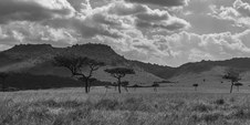 Enlarge photo 149