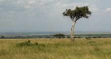 Enlarge photo 151