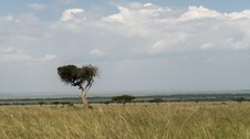 Enlarge photo 152