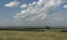 Enlarge photo 153