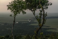 Enlarge photo 174