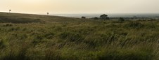 Enlarge photo 156