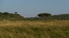 Enlarge photo 115
