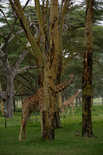 Enlarge photo 2
