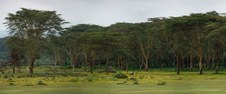 Kenya, Africa_Sanctuary Farm