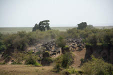 Enlarge photo 25