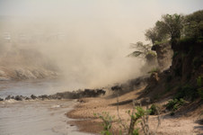 Enlarge photo 29