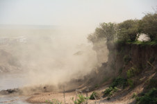 Enlarge photo 31