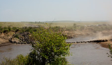 Enlarge photo 32