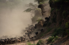 Enlarge photo 34