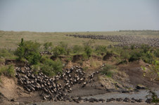 Enlarge photo 35