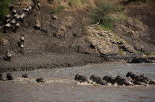 Enlarge photo 37