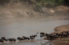 Enlarge photo 38