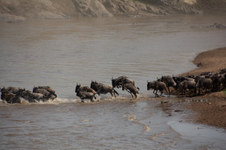Enlarge photo 39