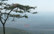 Enlarge photo 23