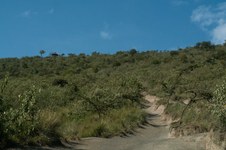 Enlarge photo 11