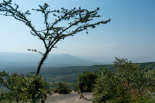 Enlarge photo 25