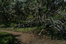 Enlarge photo 27