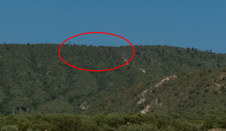 Enlarge photo 29