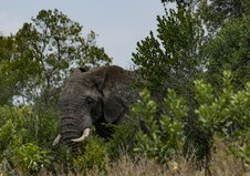 Enlarge photo 20