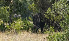 Enlarge photo 19