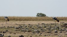 Enlarge photo 30