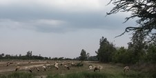 Enlarge photo 40
