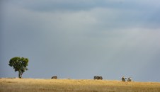 Enlarge photo 44