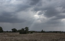 Enlarge photo 45
