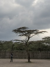 Enlarge photo 46