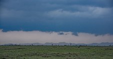 Enlarge photo 57