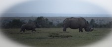 Enlarge photo 59