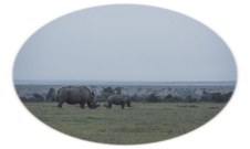 Enlarge photo 60