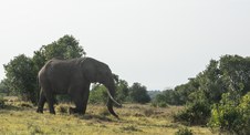 Enlarge photo 65