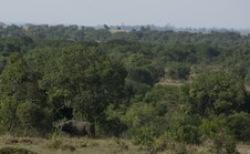 Enlarge photo 64